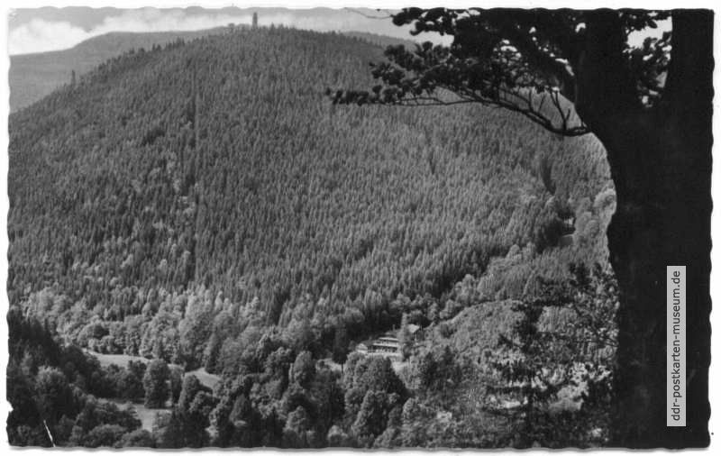 Blick vom Fuchsstein in den Lauchagrund - 1959