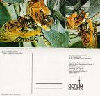 Talon-Karte der Serie "Tierpark Berlin" - 1987