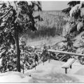 Aussichtspunkt am Spittergrund im Winter - 1973