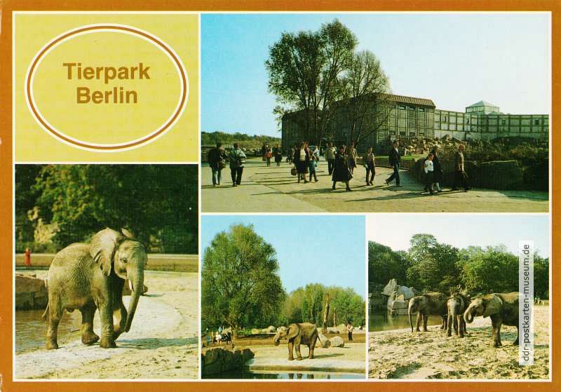 Superformat-Ansichtskarte vom Tierpark Berlin - 1990