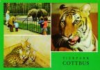 Tierpark Cottbus - Elefantengehege, junge Servale "Sundali" und "Karla", Bengal-Tiger - 1978
