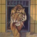 Zoologischer Garten Dresden, Siam-Tiger - 1964
