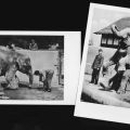 Zoologischer Garten Halle, die gelehrige Elefantin "Frieda" - 1954 / 1955 - 1954