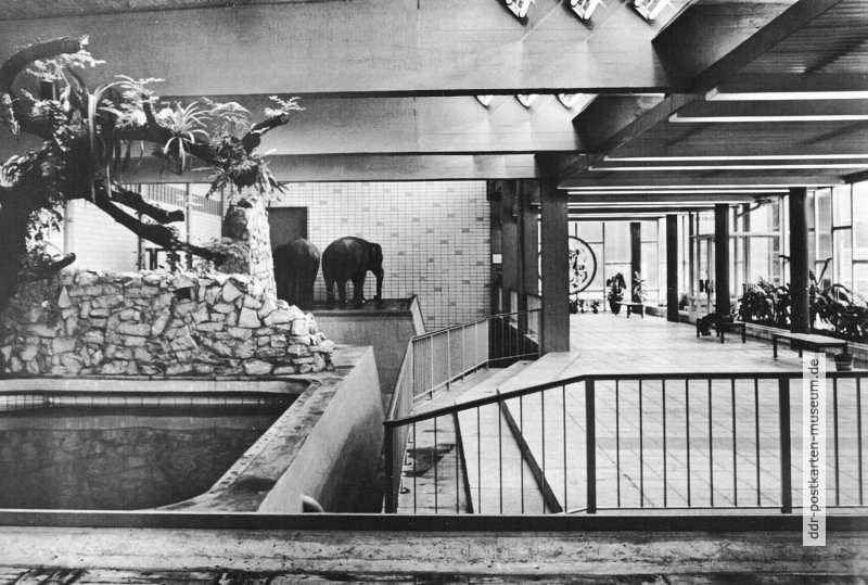 Zoologischer Garten Magdeburg, Innenansicht vom Dickhäuterhaus - 1969
