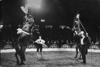 Staatszirkus der DDR, Helga & Siegfried Gronau mit Pferdedressur - 1984