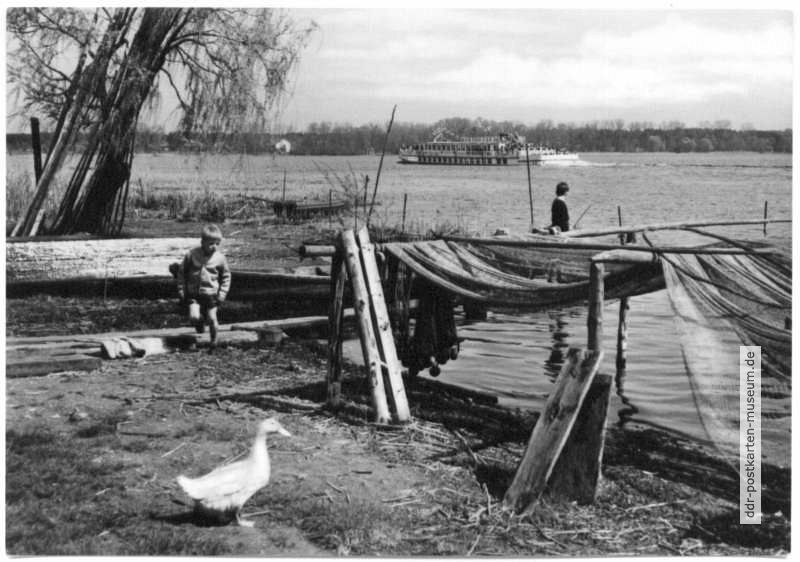 Fischernetze an  der Havel - 1966