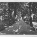 Park mit Johannispromenade - 1949