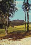 Blick vom Birkenwäldchen zur Augustusburg - 1966