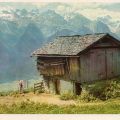 Alpenhütte in Osttirol - 1955
