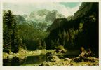 Blick auf den Dachstein (Steiermark) - 1955