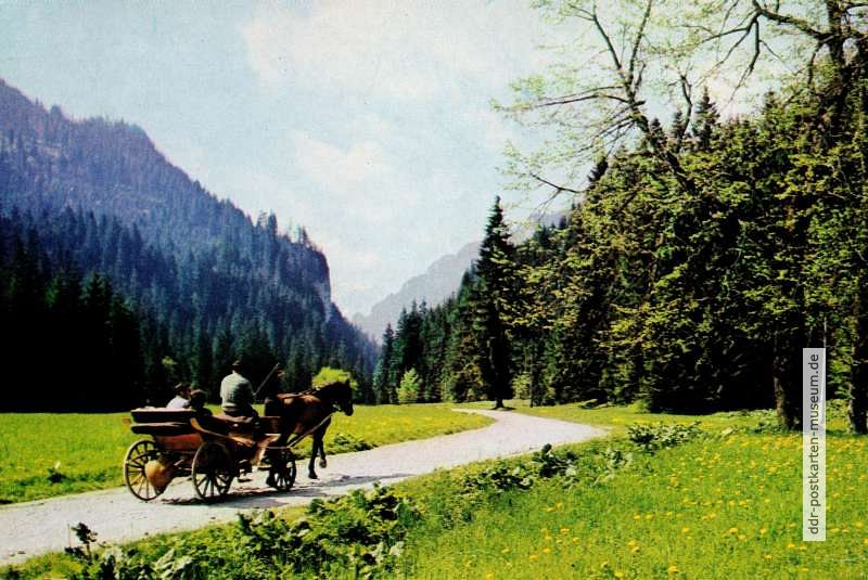Im Koscieliskatal in der Hohen Tatra - 1983