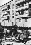Pferdeplastik an der Florian-Geyer-Straße - 1968