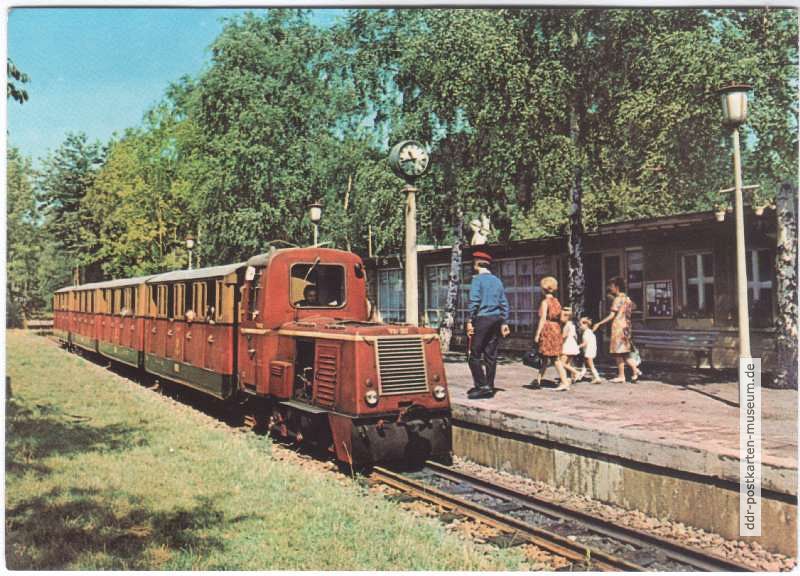 Pioniereisenbahn im Pionierpark "Ernst Thälmann" - 1972