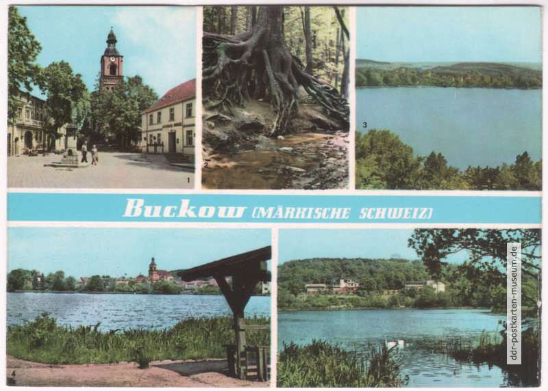 Am Markt, Wurzelfichte, Schermützelsee, Buckow-See, Griepensee - 1966