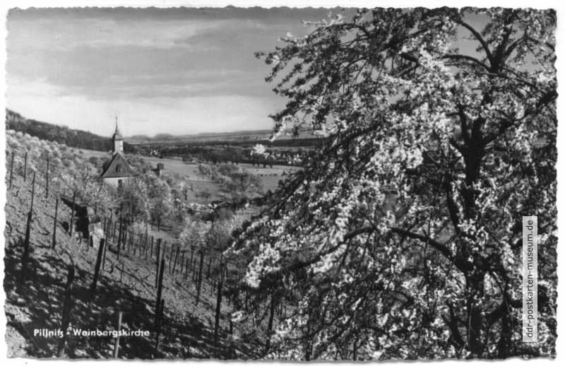 Pillnitz, Weinbergskirche - 1959