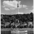 Elbdampfer "Torgau" bei Wachwitz - 1969