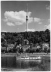Elbdampfer "Torgau" bei Wachwitz - 1969