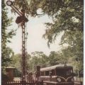 Pioniereisenbahn im Großen Garten - 1966