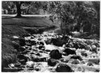 Wasserfall im Park am Weidendamm - 1967