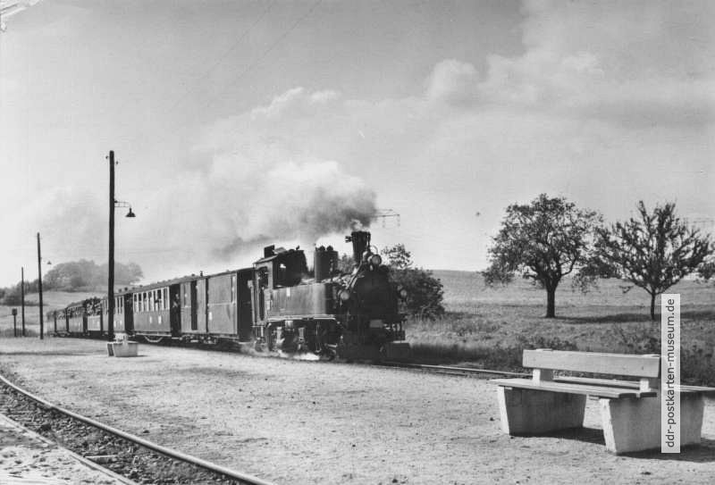 Traditionsbahn Radebeul Ost-Radeburg, Zug im Bahnhof Friedewald - 1978