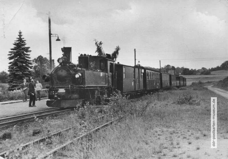 Traditionsbahn Radebeul Ost-Radeburg, Zug im Bahnhof Friedewald - 1980