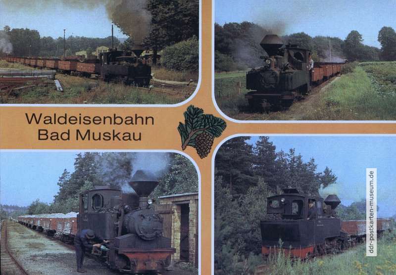 Waldeisenbahn Bad Muskau, Schmalspurbahn ohne öffentlichen Personenverkehr - 1985