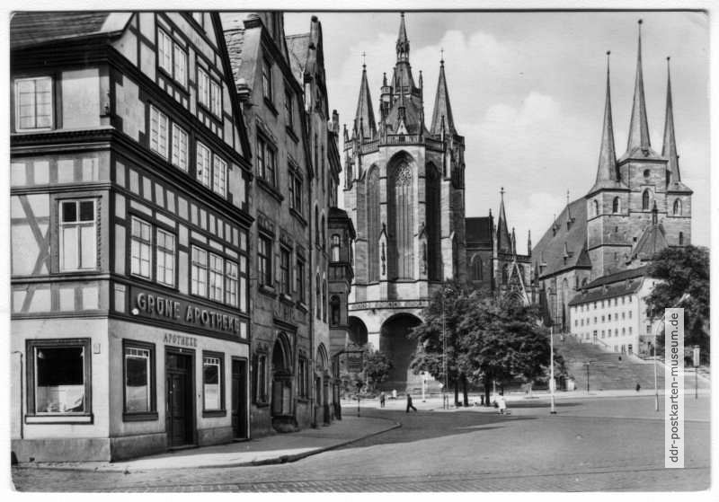 Grüne Apotheke und Giebelhäuser am Dom, Severikirche - 1961