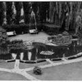 Goldfischteich im Schloßpark - 1963