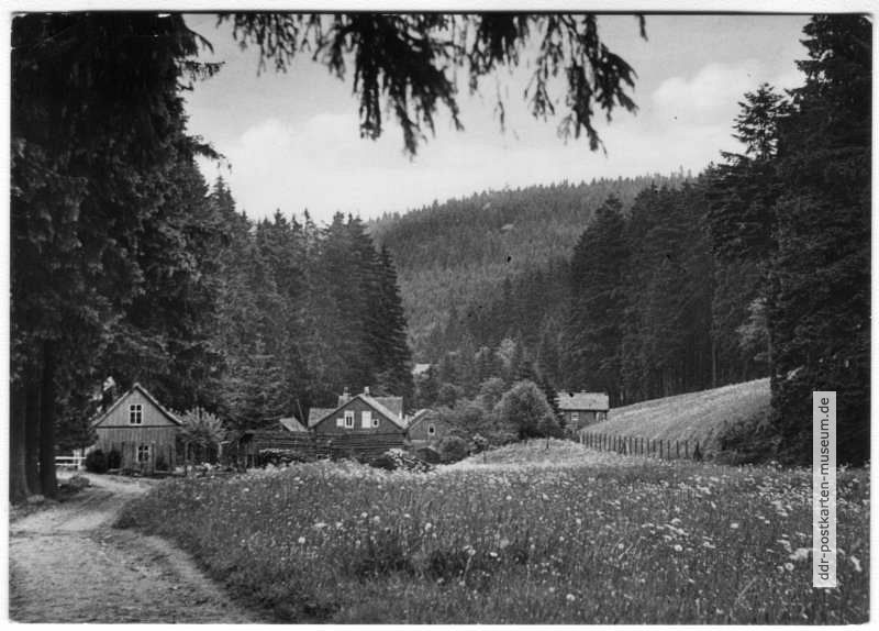 Partie im Kühlen Tal bei Friedrichroda - 1961
