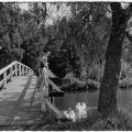 An der Seebrücke, Burgsee - 1958 / 1965