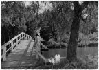 An der Seebrücke, Burgsee - 1958 / 1965