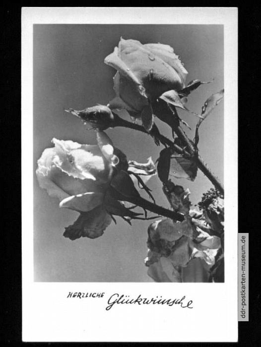 Grußpostkarte "Herzliche Glückwünsche" - 1953