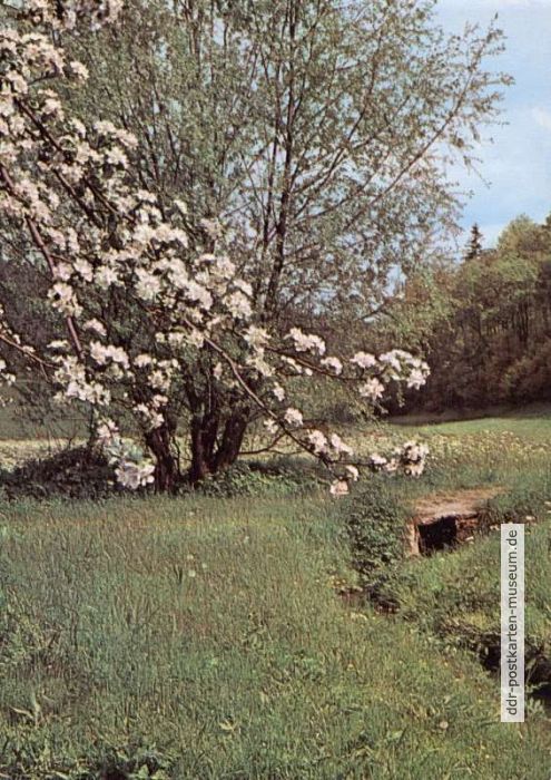 Rückseite: Herzliche Pfingstgrüsse - 1975