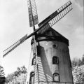 Rückseite: Fröhliche Pfingsten / Herzliche Pfingstgrüße (Windmühle in Gohlis) - 1964 / 1971