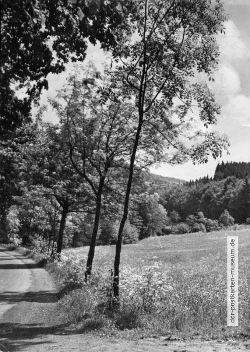 Rückseite: Herzliche Pfingstgrüße - 1959