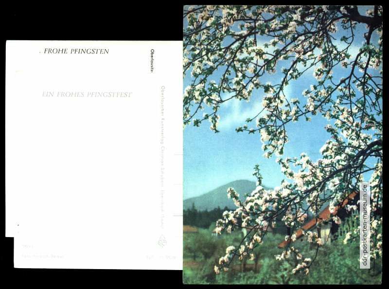 Rückseitig: Frohe Pfingsten / Ein frohes Pfingstfest - 1966