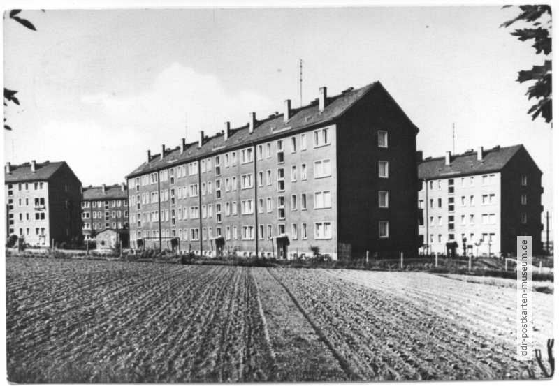 Neubausiedlung der AWG (Arbeiter-Wohnungsbau-Genossenschaft) - 1965