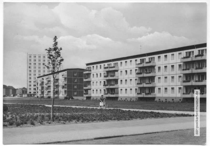 Neubauten an der Karl-Marx-Straße - 1967