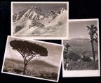 Urlaubskarten aus Österreich, Italien und Kanarische Inseln von 1932-1937