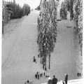 Erzgebirgsschanze mit Jugend- und Pionierschanze - 1969