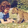 Kind mit Leopardenbaby im Berliner Tierpark - 1964