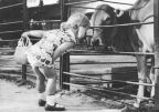 Kind im Zoo - 1979