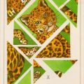 Grußkarte "Puzzlegruss zum Kindergeburtstag" mit Puzzlevorlage - 1985