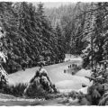 Winter im Aschberggebiet bei Klingenthal - 1958