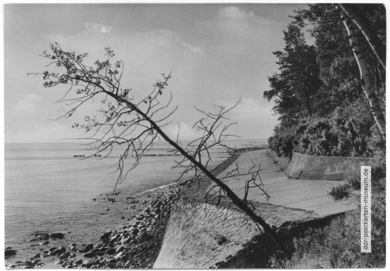 Ufermauer am Streckelberg bei Koserow - 1960