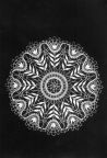 Klöppelkunst Motiv Blüten von Regine Siebdrath - 1988