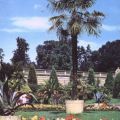 Sizilianischer Garten im Park von Sanssouci, Potsdam - 1974