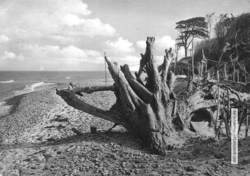 Am Strand vom Westdarß - 1966