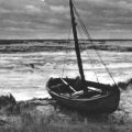 Sturmtag am Strand des Naturschutzgebietes bei Prerow - 1958