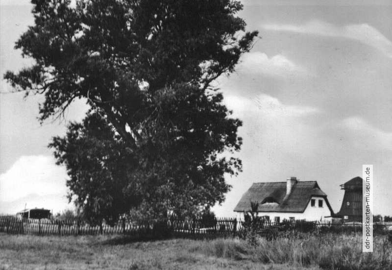 Bauernhaus und Alte Mühle in Born - 1969
